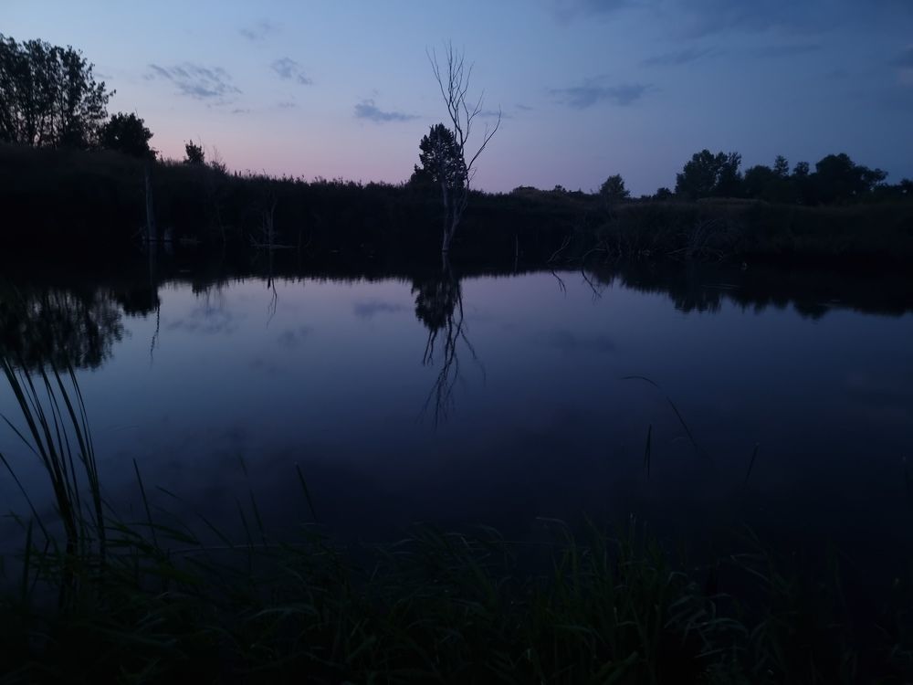 Photograph by Елена