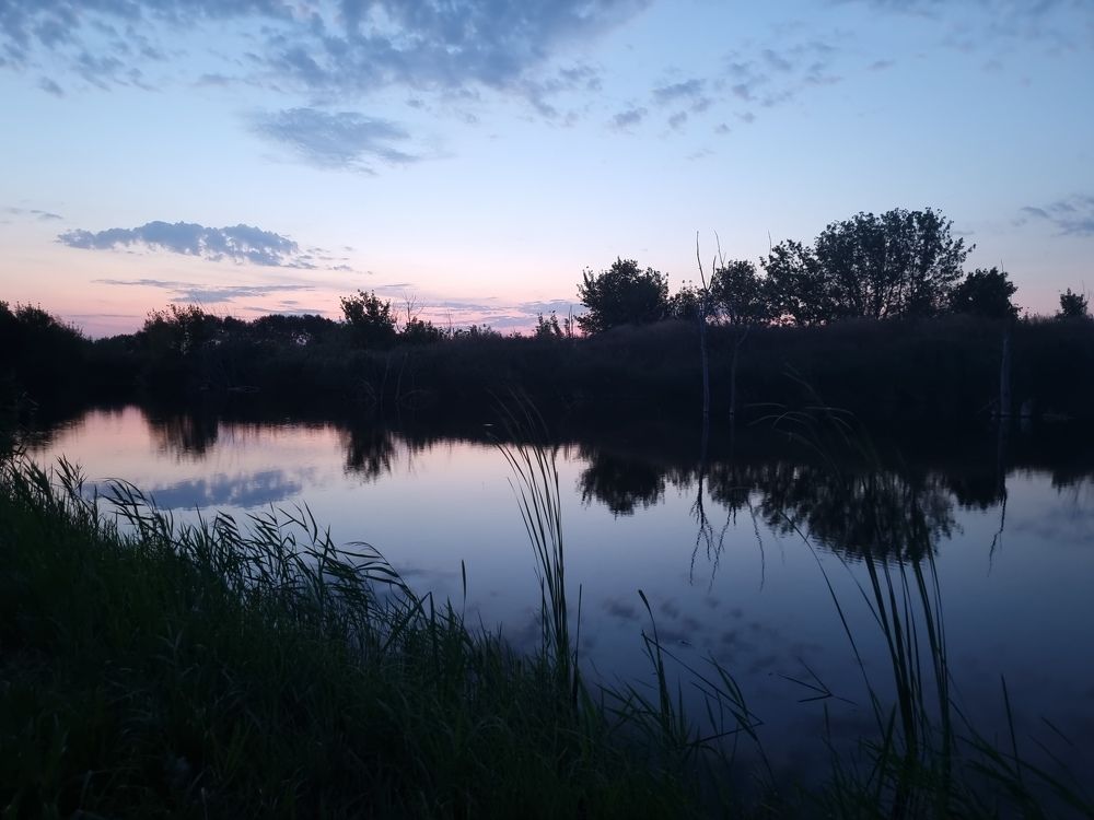 Photograph by Елена