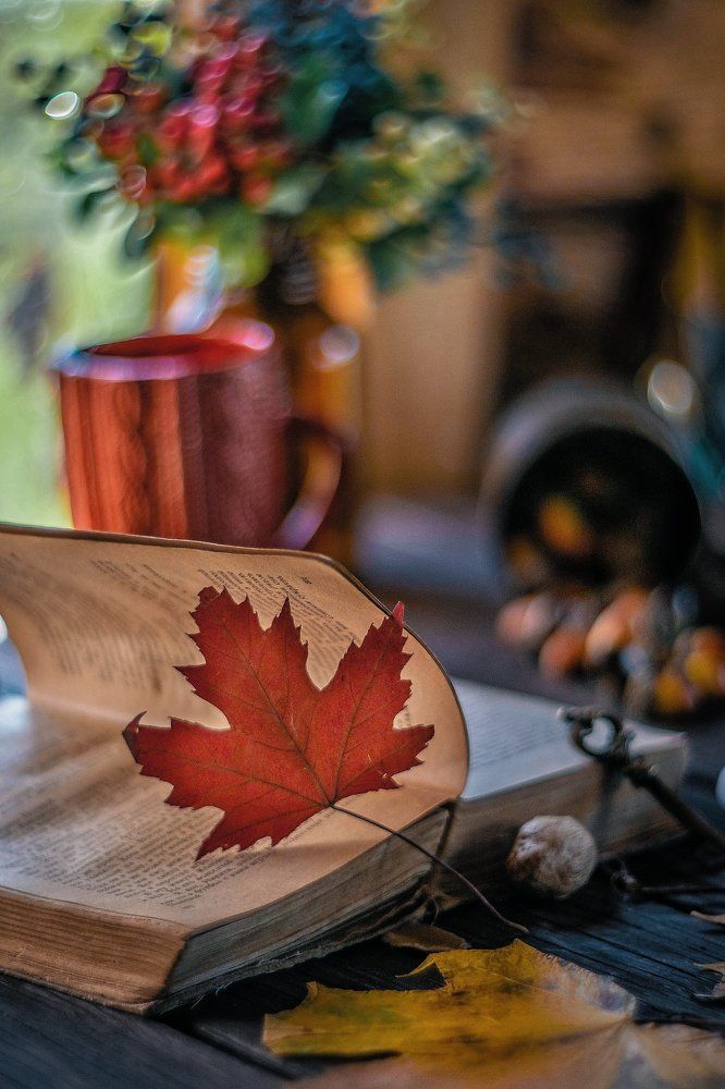 Photograph by Redjulia