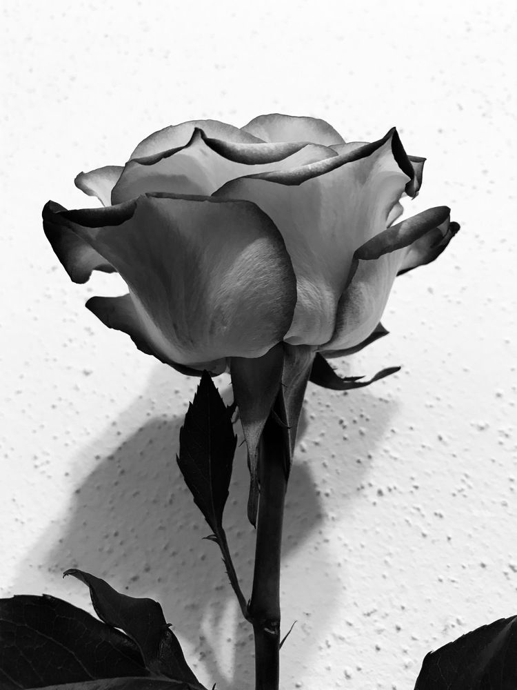 Photograph by Мадина Криштопа