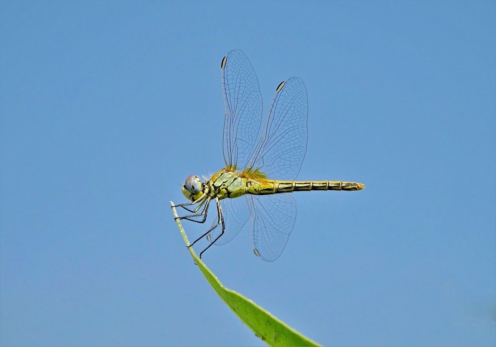 Photograph by cengiz pamuk