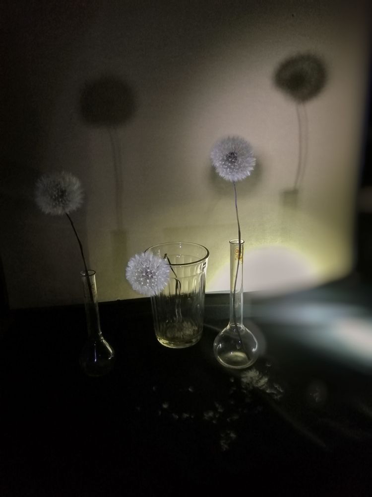 Photograph by Ольга Мокрова