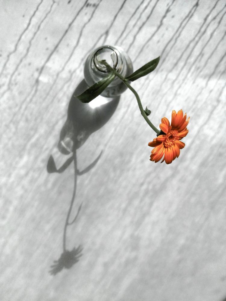 Photograph by Ольга Мокрова