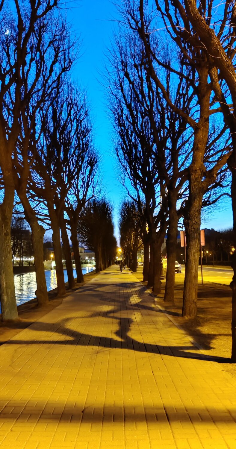 Photo #8446757