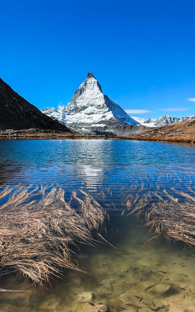 Photograph by Sweta Mishra