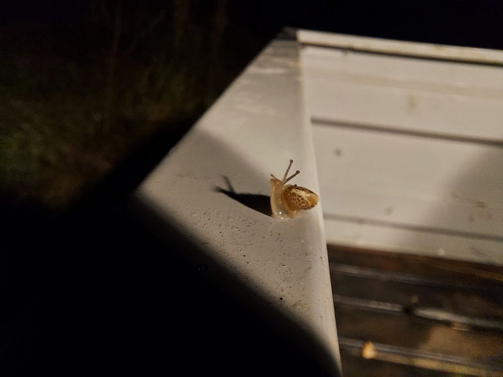 Photograph by Николай Абрамов