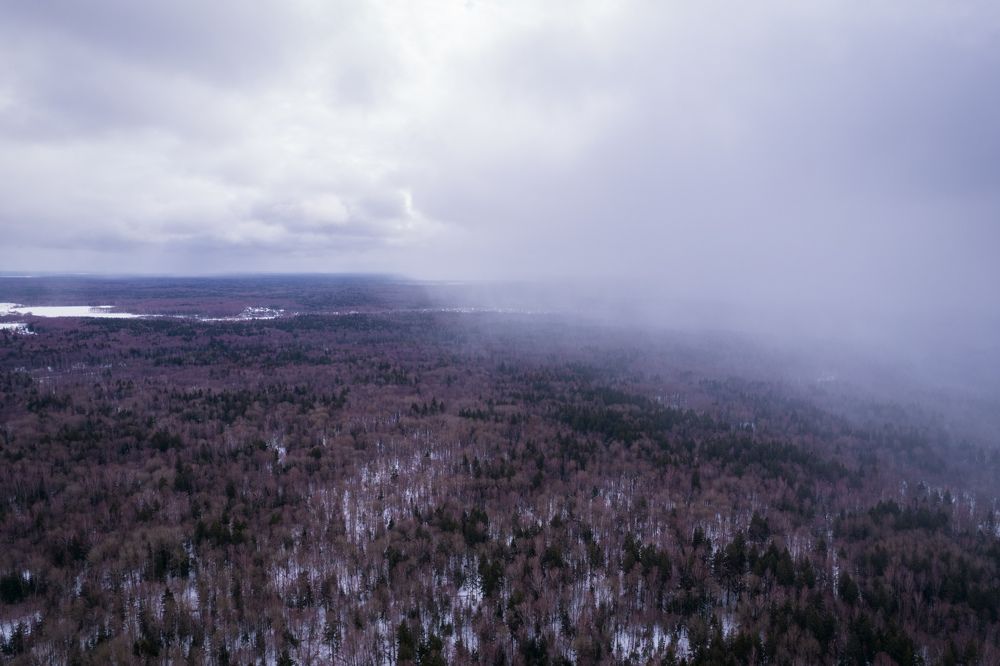 Photograph by Евгений Порсов