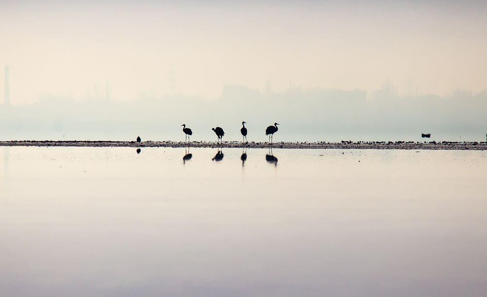 Photograph by Николай Абрамов