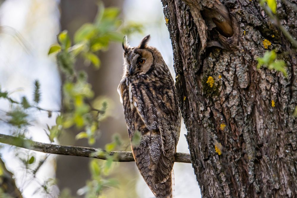 Photograph by Виктор