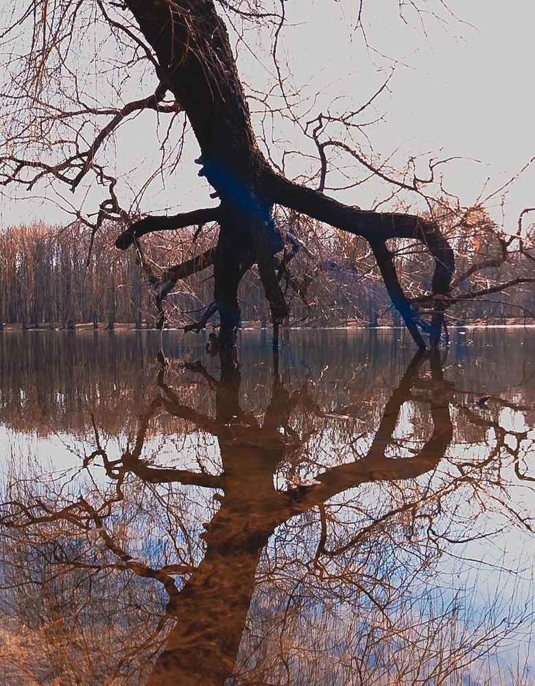 Photograph by Александра Кропивка