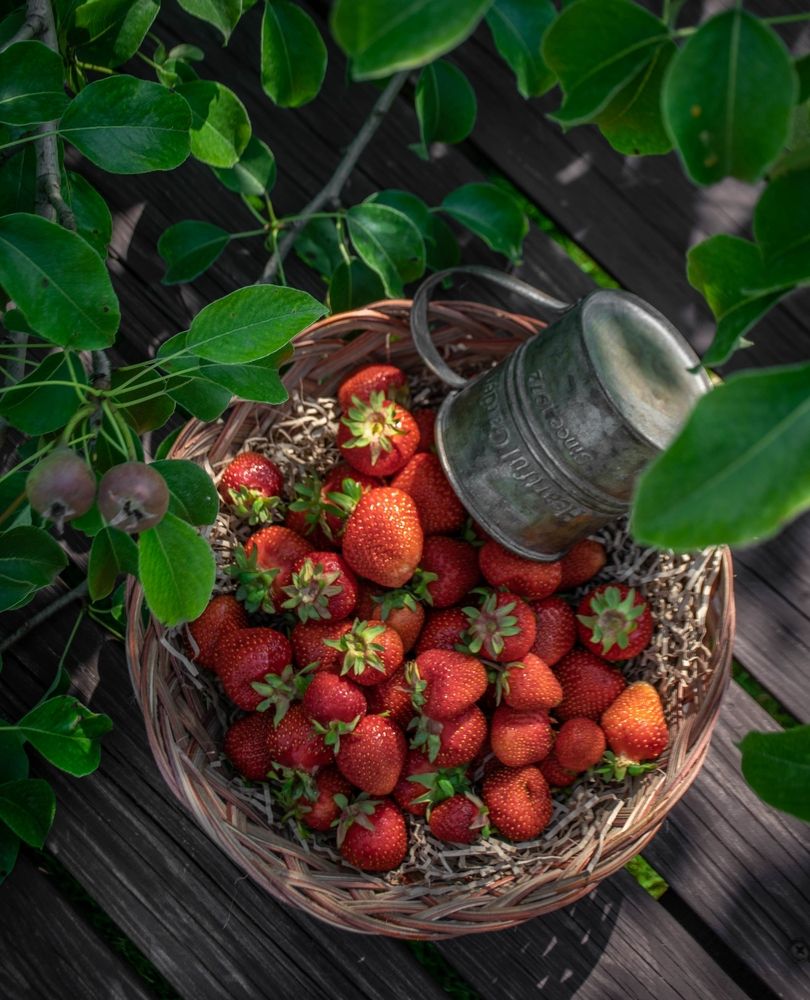 Photograph by Redjulia