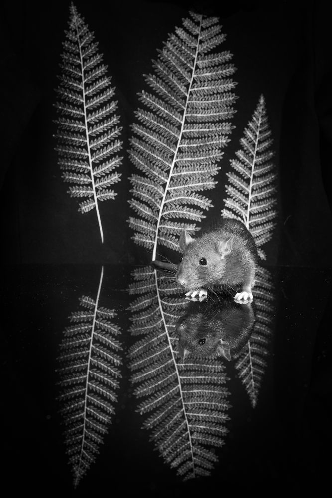 Photograph by Алексей Михайлов