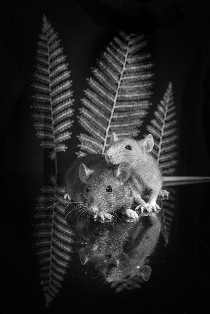 Photograph by Алексей Михайлов