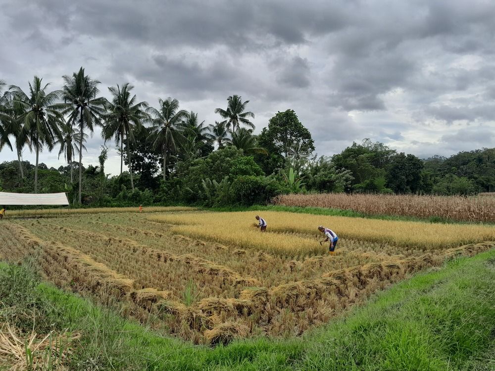 Working For Family Life