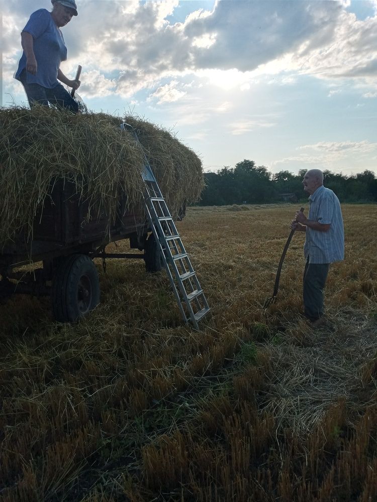 Photograph by Дарья Ващенко-Панкина