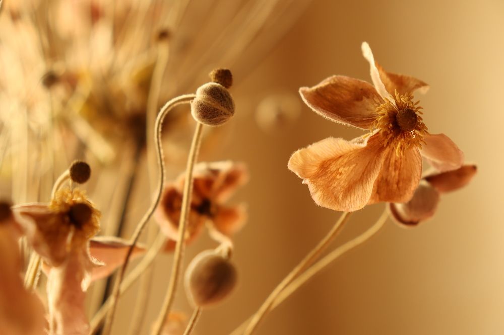 Photograph by Lina Tomkevičienė