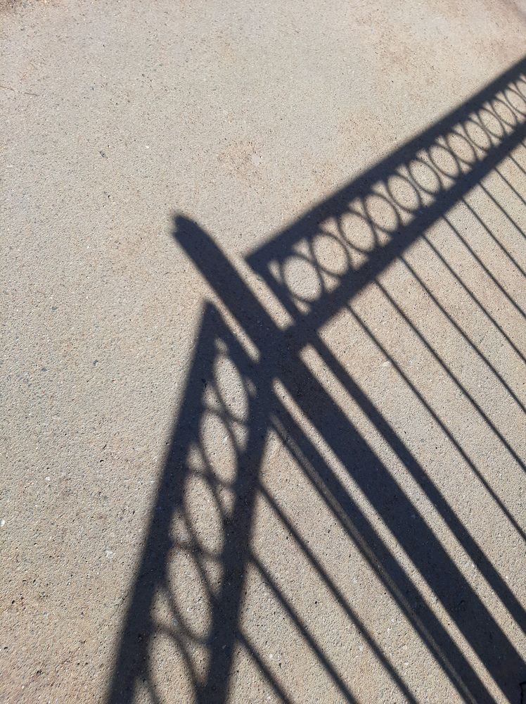 Фотография автора Светлана Дунаева