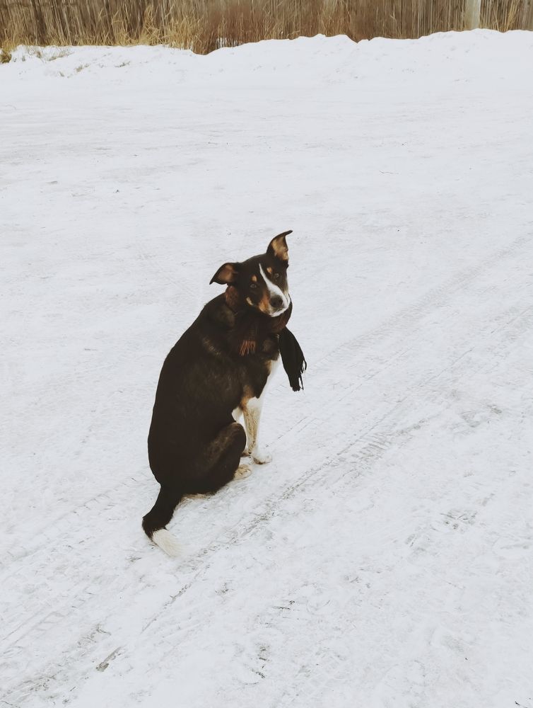 Фотография автора Екатерина