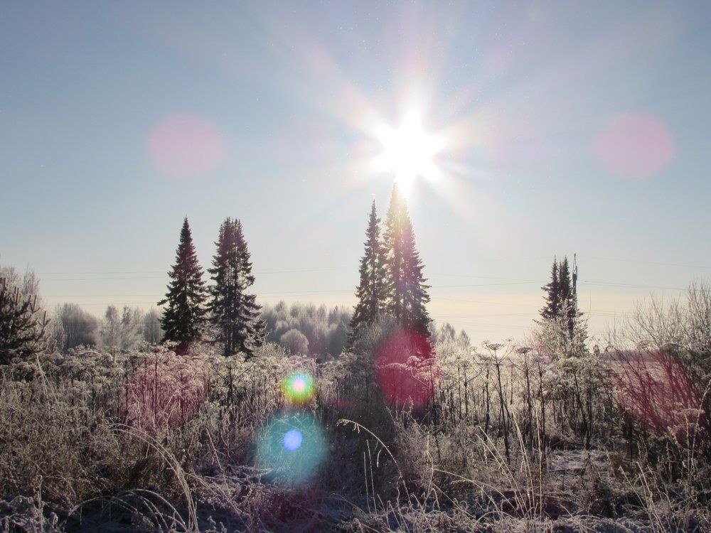 Звезда по имени Солнце