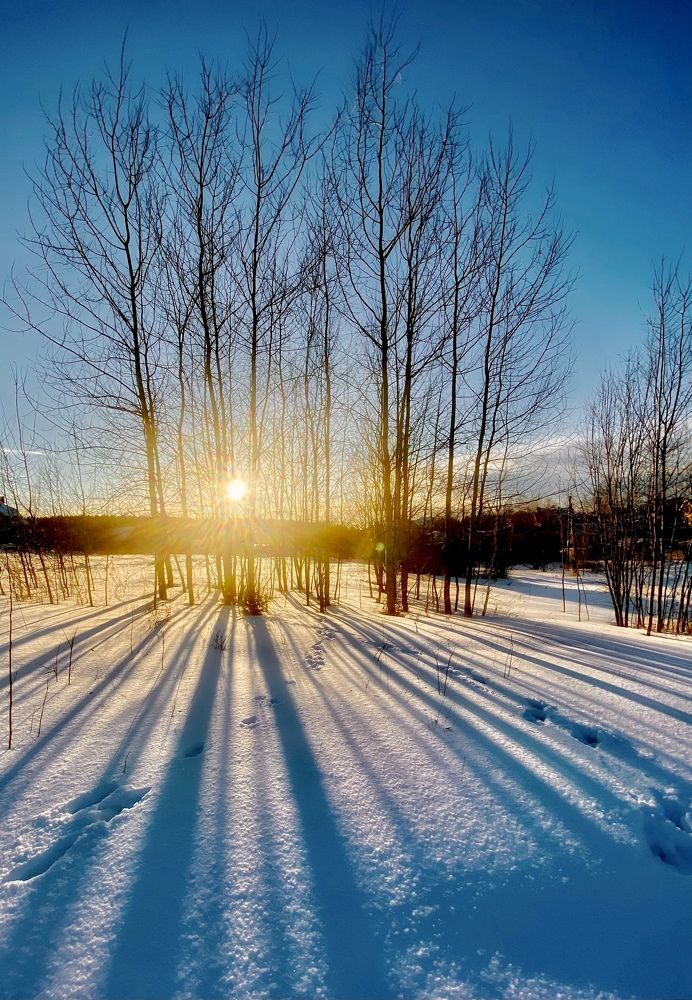 Зимний день