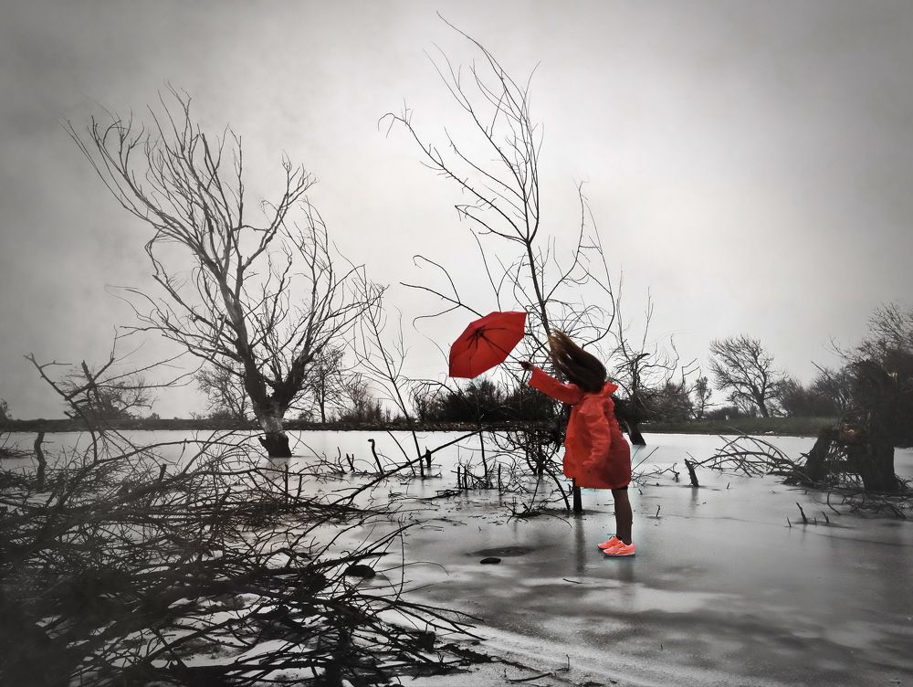 Photograph by Румен Сомов