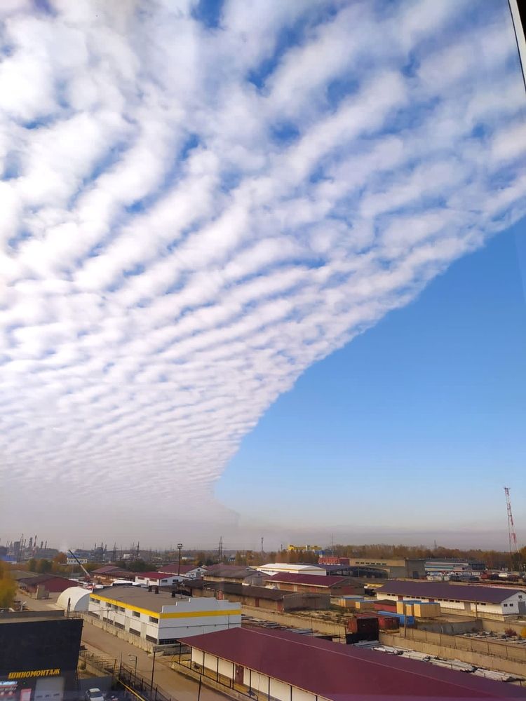 Крыло ангела