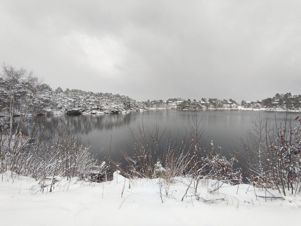 Photo #8447337