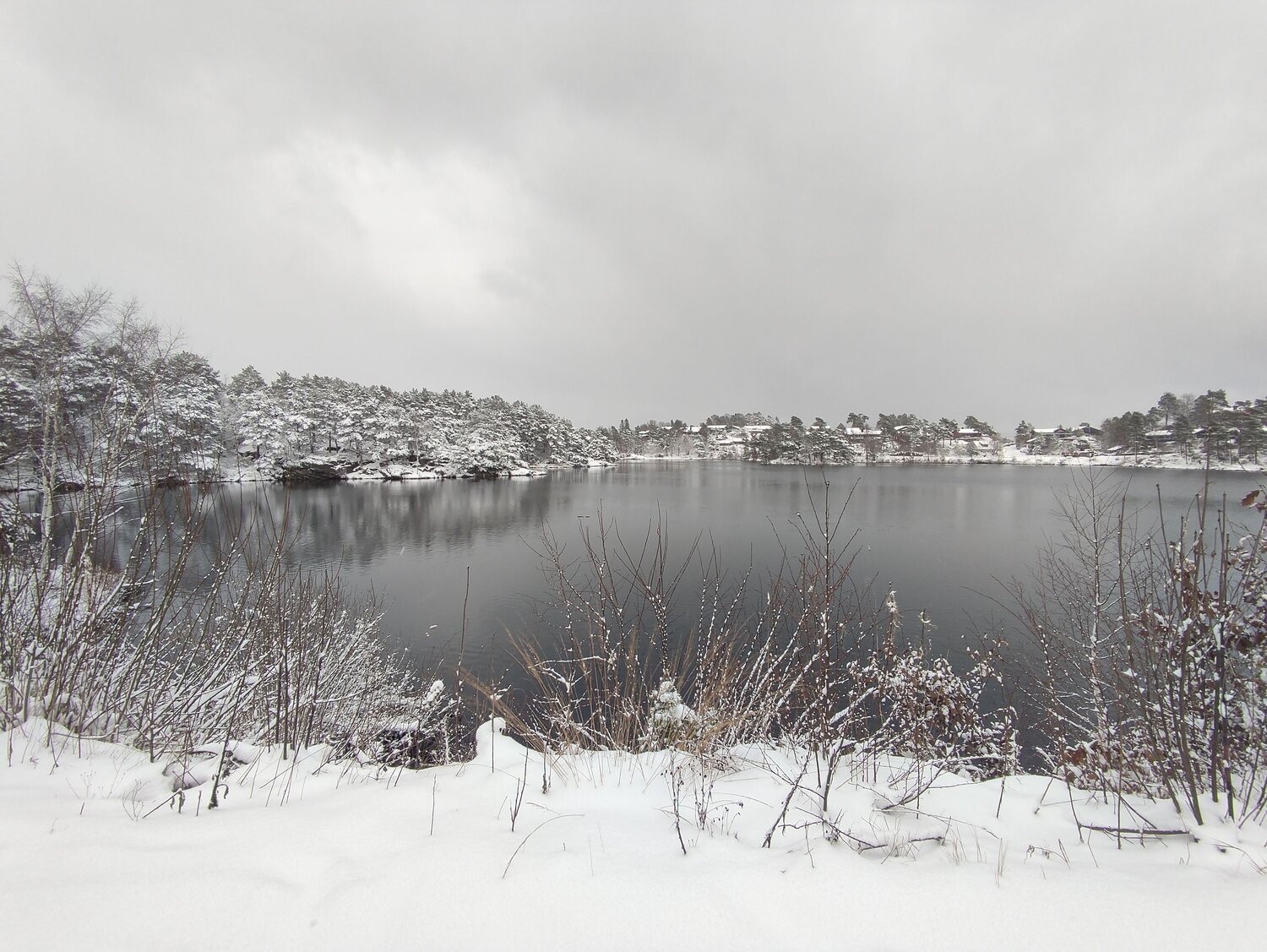 Photo #8447337