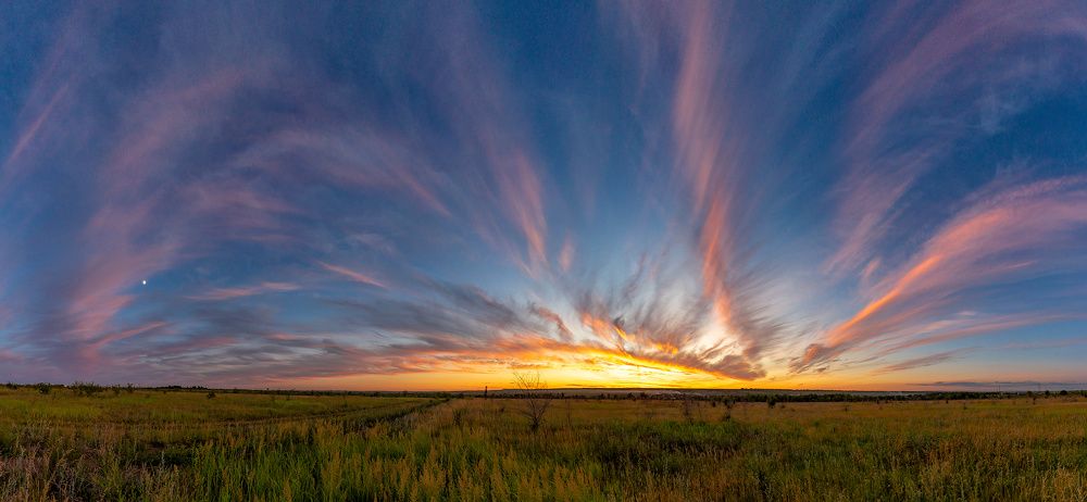 Огненные растения на закате