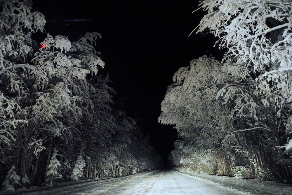 Ночная дорога