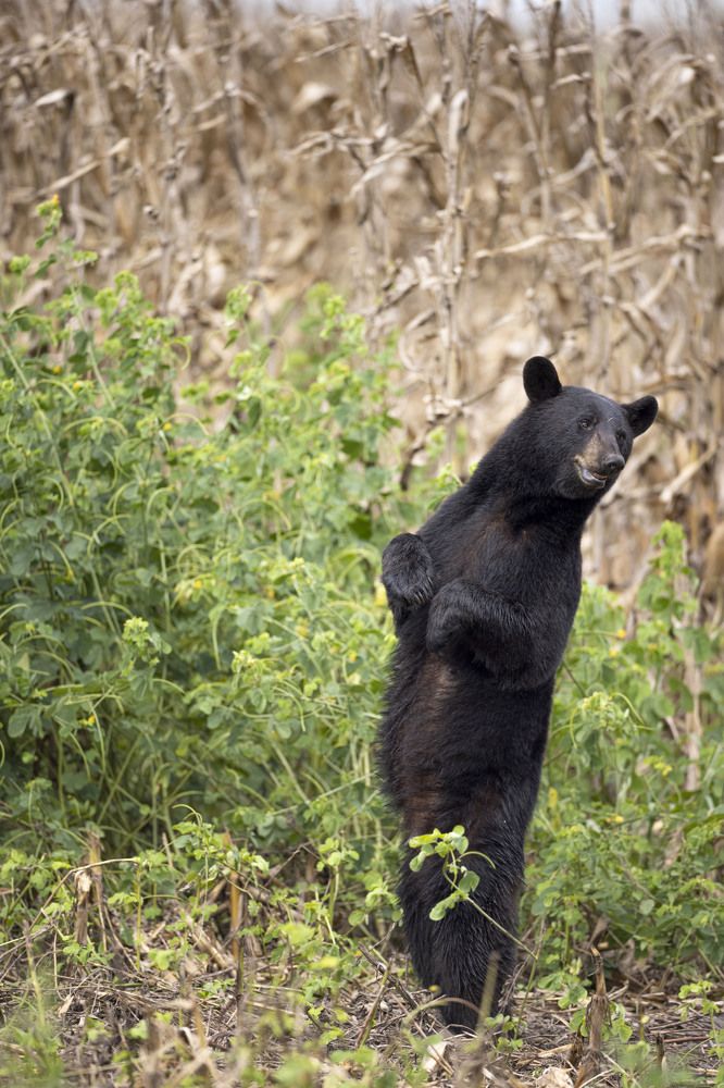 Photograph by Goutham Ganesh Sivanandam