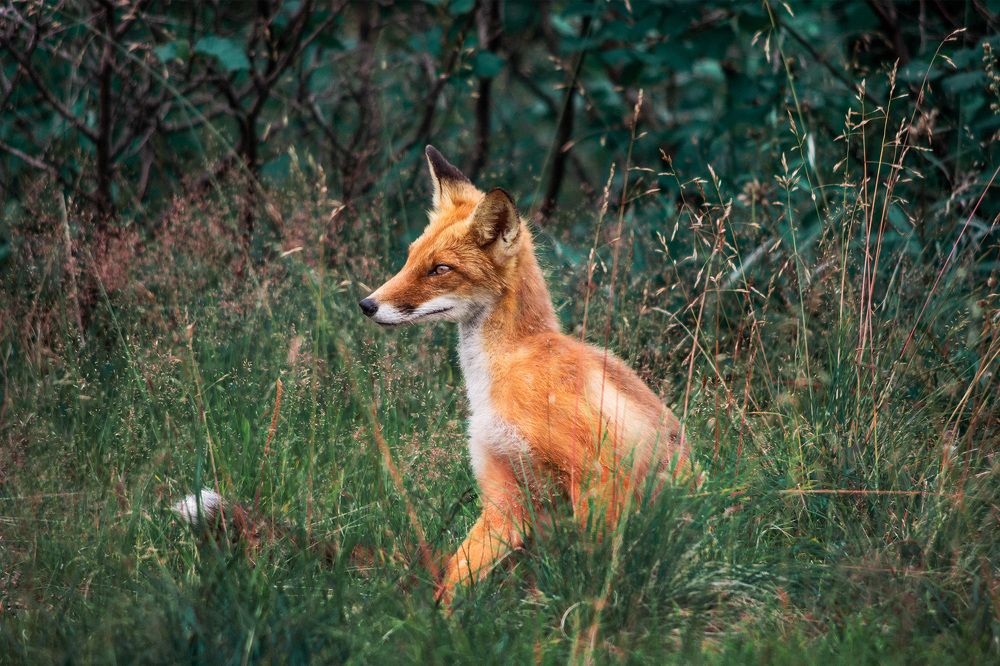 Photograph by Константин Малютин