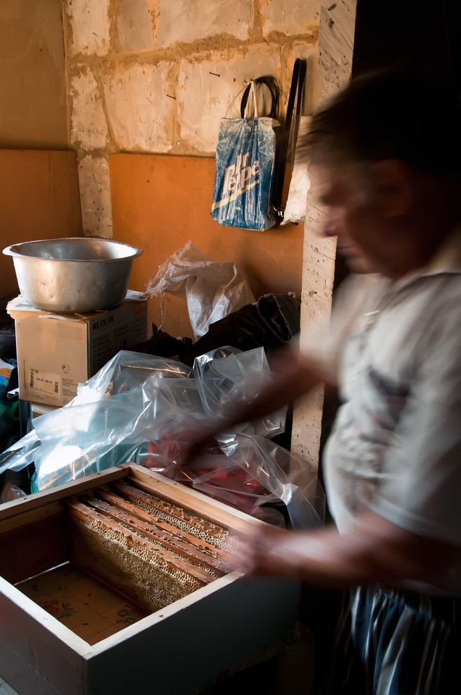 Photograph by Alexandr Makarenko