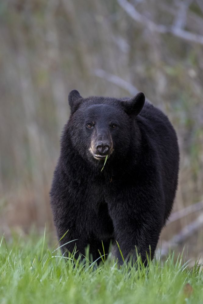 Photograph by Goutham Ganesh Sivanandam