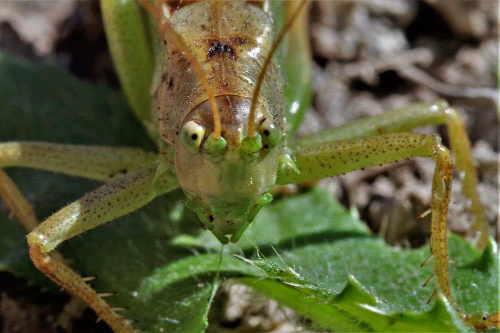 Photograph by Олег Китаев