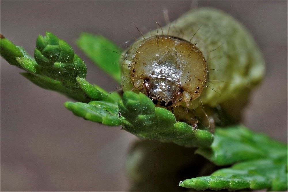 Photograph by Олег Китаев