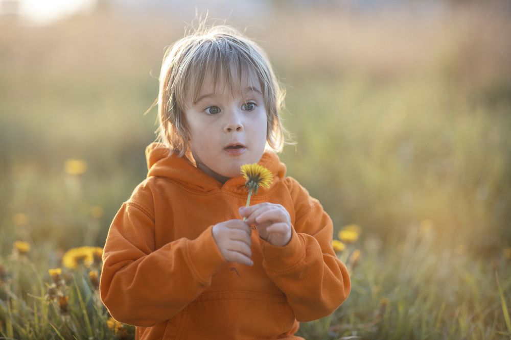 Фотография автора Olga Shalaeva