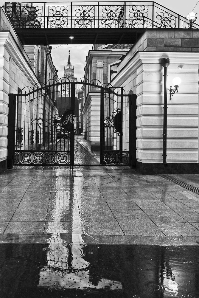 Фотография автора Ольга Виноградова