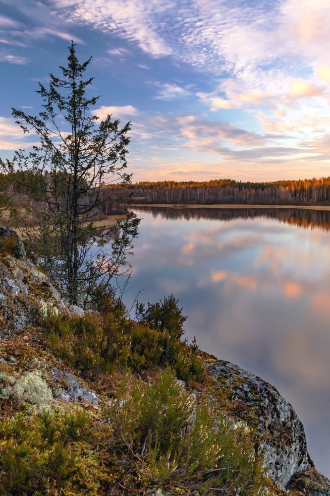 Photograph by Татьяна Тарасова