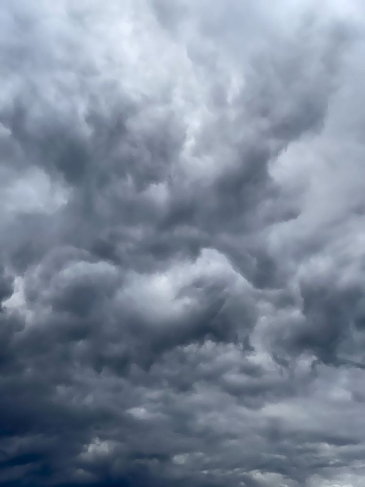 Photograph by Lena Linz