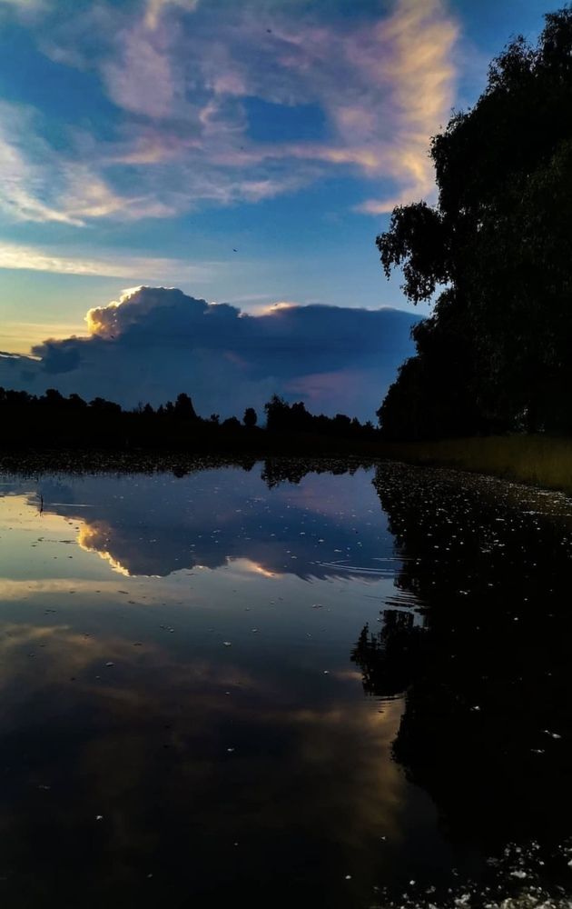 Photograph by Alina Tsilyk