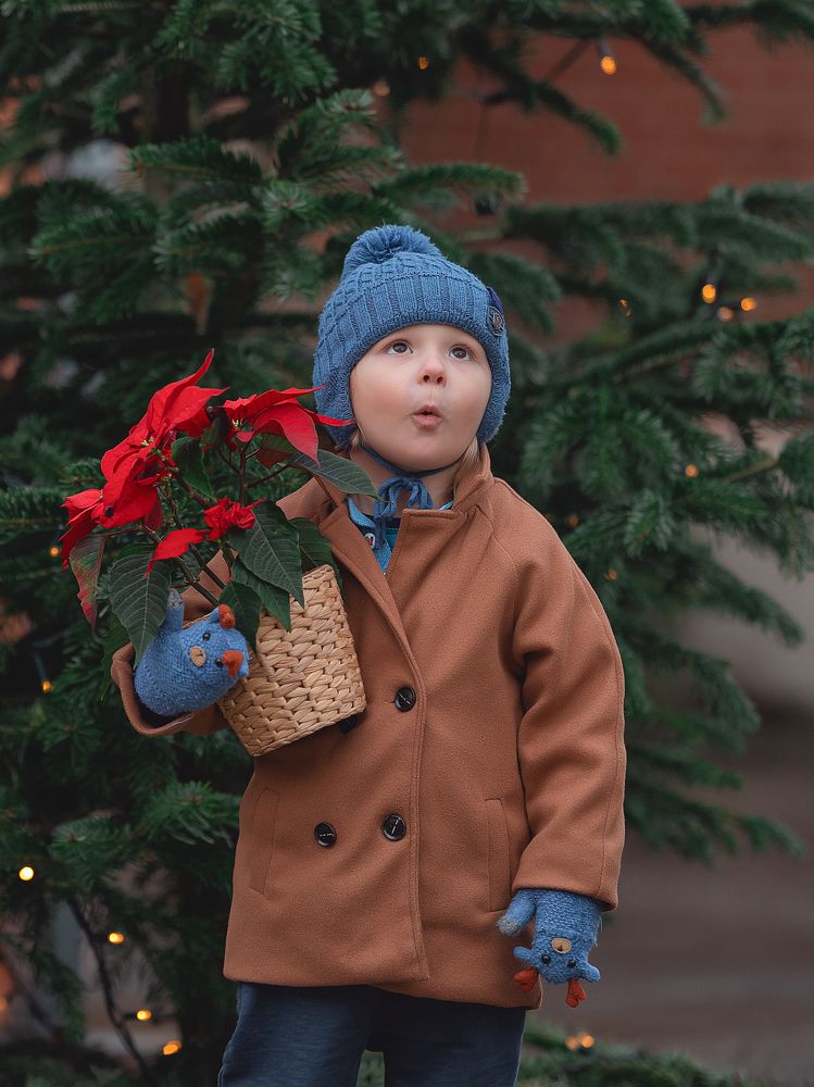 Photograph by Ana Jung