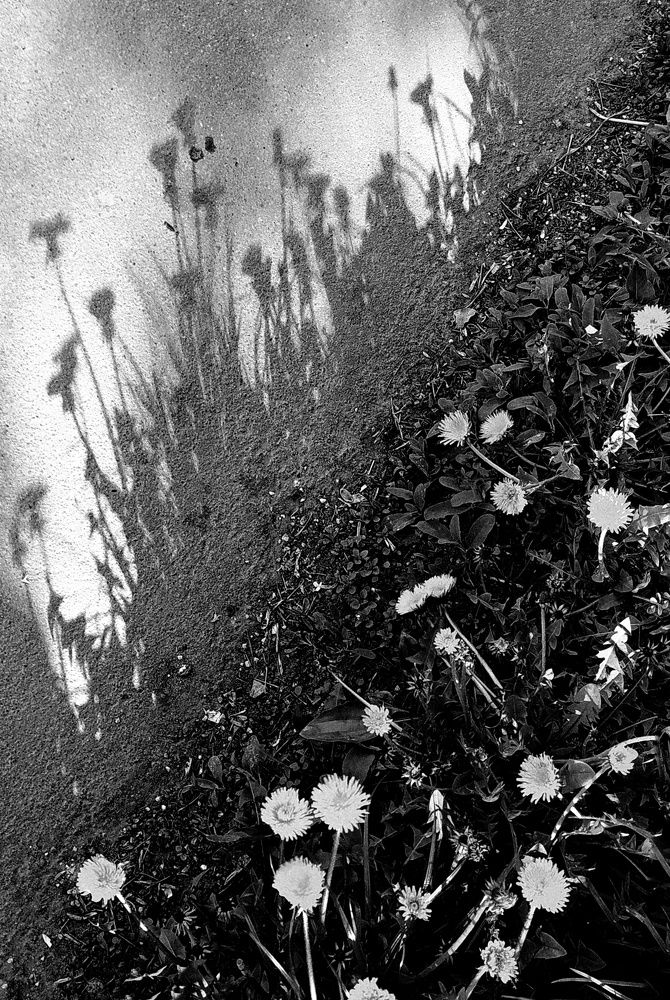 Photograph by Татьяна Григорьева