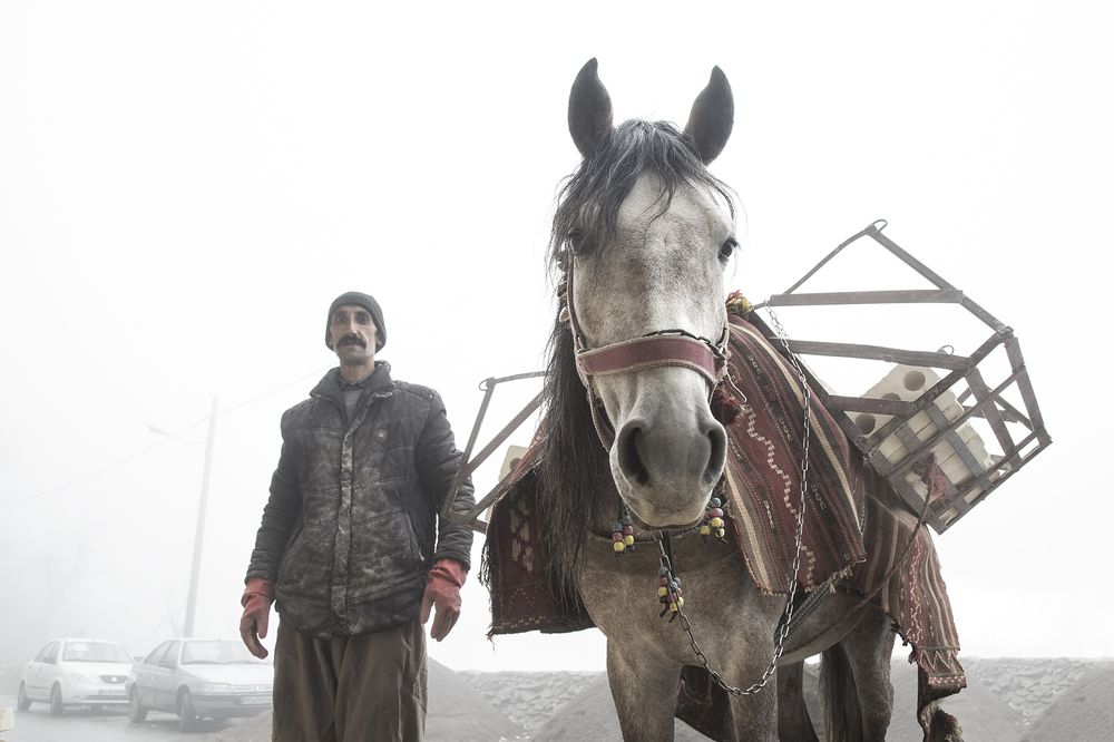 Photograph by seyed mostafa yousefi