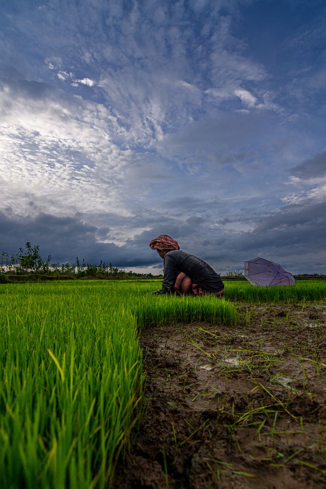 Photograph by Pinak Paul