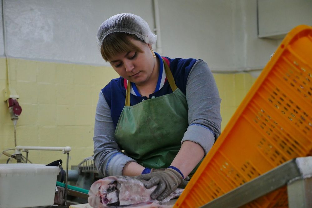 Фотография автора Антон Сандалов