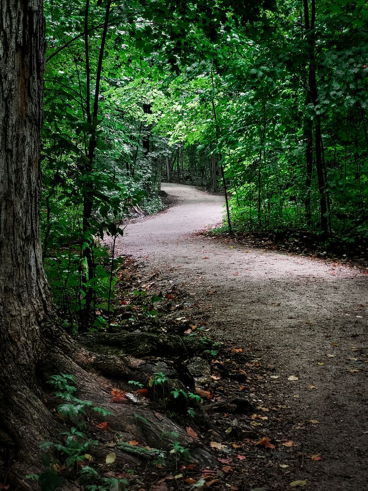 Photograph by Greg Noakes