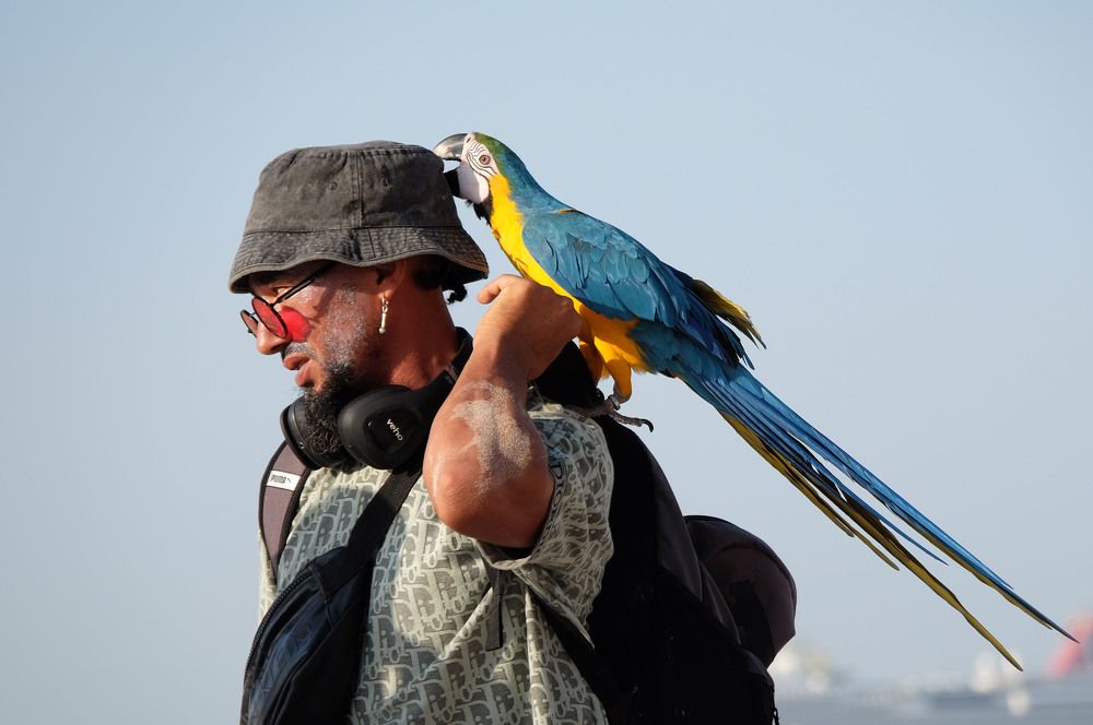 Фотография автора Наталья Липовская
