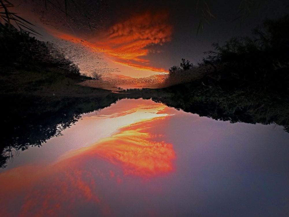 Фотография автора Таня Долгушева