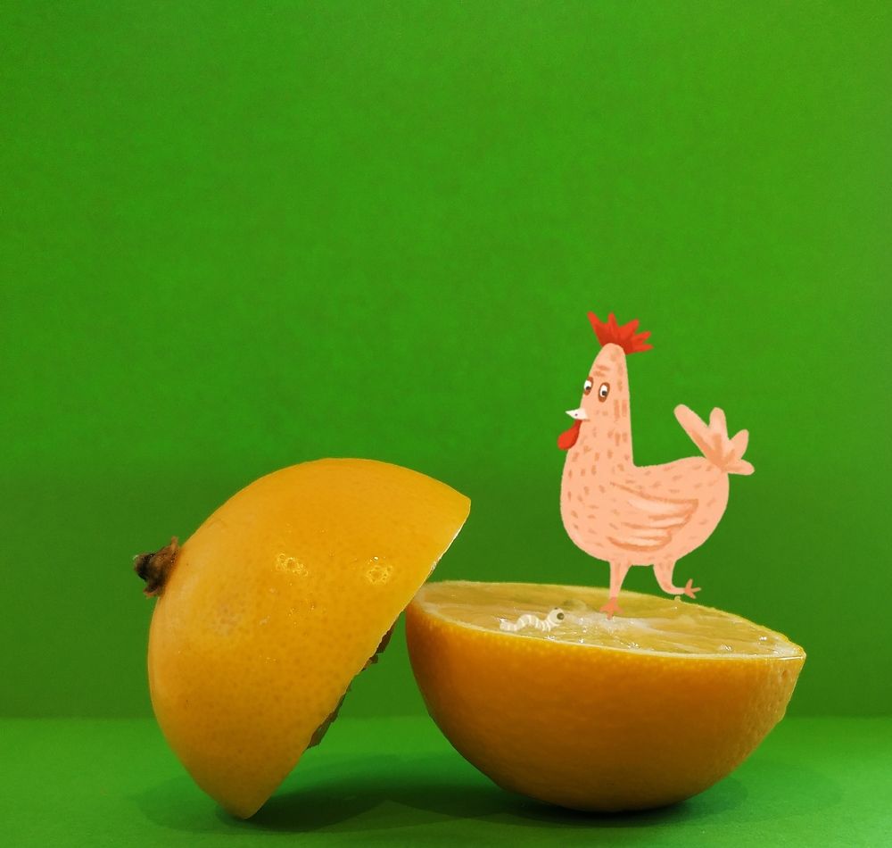 Photograph by Valentina